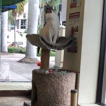 Greenleaf Animal Hospital - Veterinarians Near Me - Miami, Florida Greenleaf Animal Hospital - Veterinarians Near Me - Miami, Florida