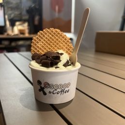 Mint Chip Gelato Mint Chip Gelato