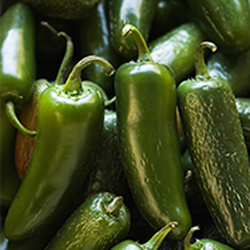 Burger Edge - Jalapenos for our Mexican Burgers