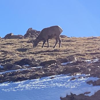 Pikes Peak - America's Mountain - Hiking Near Me - Cascade, Colorado Pikes Peak - America's Mountain - Hiking Near Me - Cascade, Colorado
