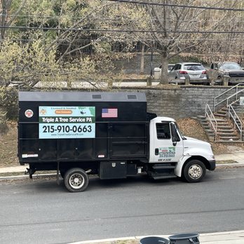 Triple A Tree Service - Tree Services Near Me - Langhorne, Pennsylvania