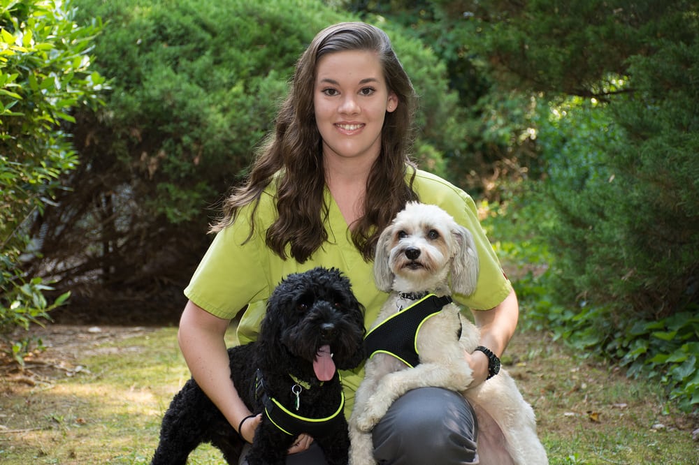 MAYFAIR ANIMAL HOSPITAL 14 Photos & 15 Reviews 1130 SW Maynard Rd