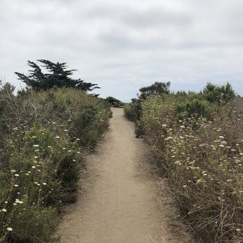 Carpinteria Bluffs Nature Preserve - Hiking Near Me - Carpinteria, California