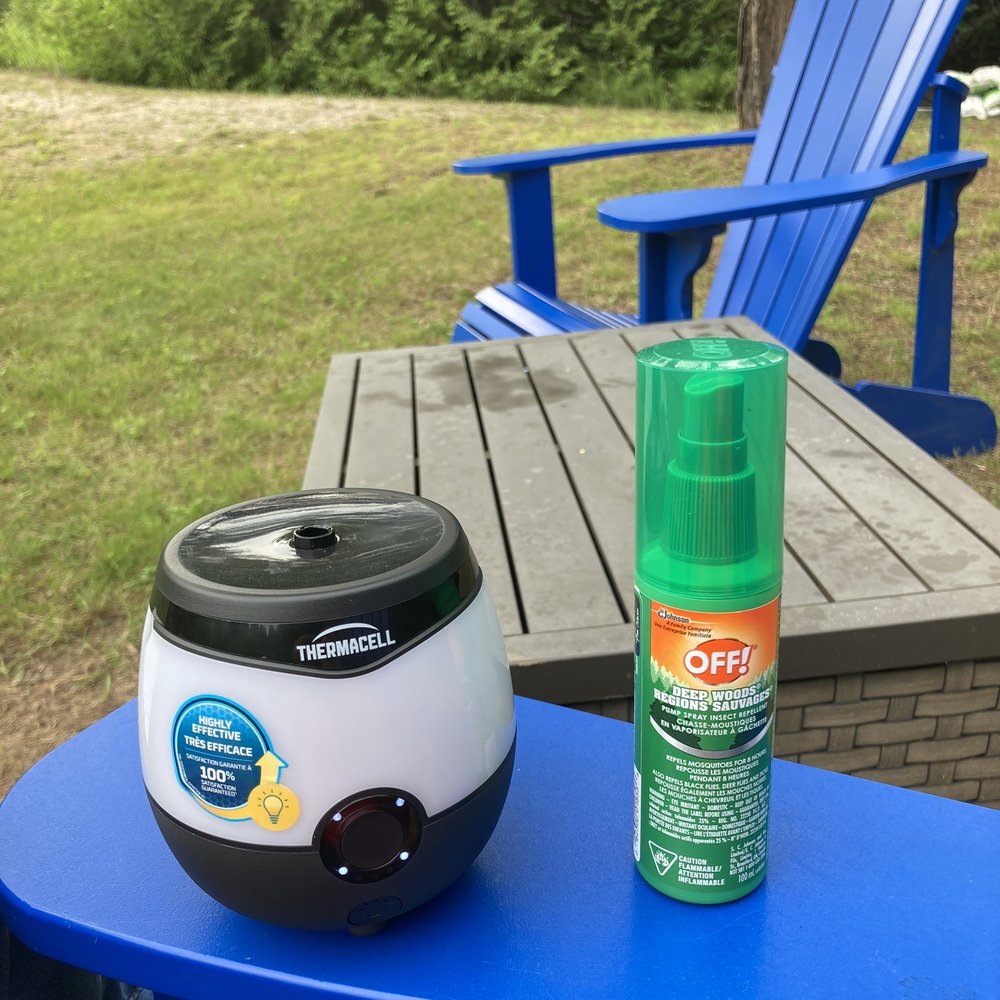 May | 2024 | Voltaire Foundation, image size:1000x1000