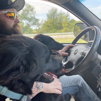 Heavenly Care Kennels - Our pups shadow and Harley excited to return home from their puppy vacation! - Pet Boarding Near Me - Sheridan, Indiana Heavenly Care Kennels - Our pups shadow and Harley excited to return home from their puppy vacation! - Pet Boarding Near Me - Sheridan, Indiana
