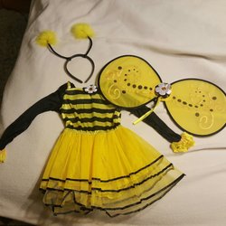Party City - Missing wand. Package indicates wand, headband, dress and wings included. See review for link to costume on site.