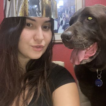 Pawsitively Austin - Dog Sitting Dodger 3 - Dog Walkers Near Me