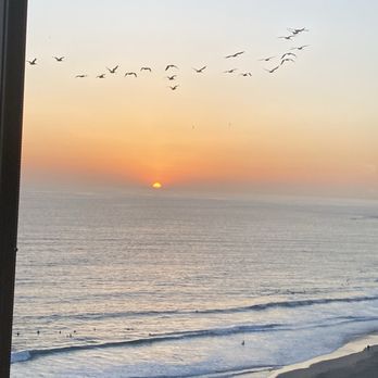 Raya - I did not eat these birds - Seafood Near Me - Dana Point, California
