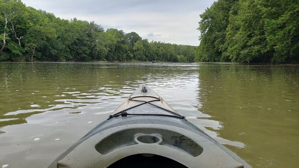 Front Royal Outdoors by null