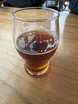 Roar Brewing Company by null