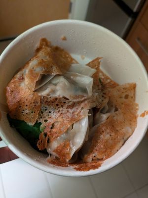 The Dumpling Lady by null