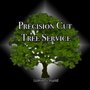 Photo of Precision Cut