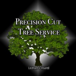 Precision Cut - Call For a Free Quote!