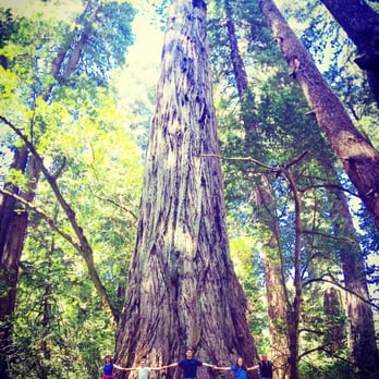Elk Meadow Cabins - Vacation Rentals Near Me - Orick, California