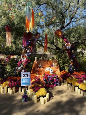 Divine Cafe at the Springs Preserve by null