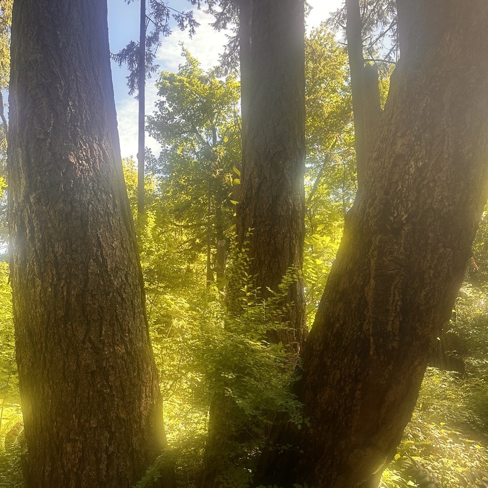 Leach Botanical Garden - Botanical Gardens Near Me - Portland, Oregon