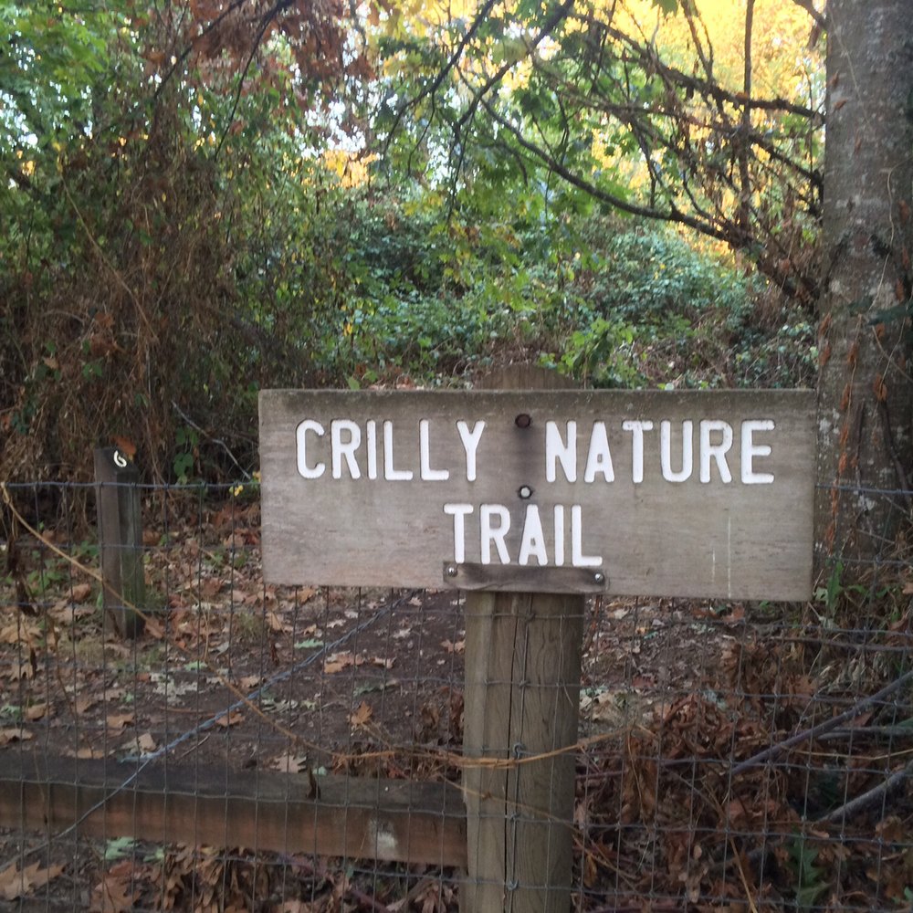 Armitage Dog Park - A few trails available right off the dog park - Dog Parks Near Me - Eugene, Oregon Armitage Dog Park - A few trails available right off the dog park - Dog Parks Near Me - Eugene, Oregon
