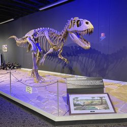 Mesalands Dinosaur Museum