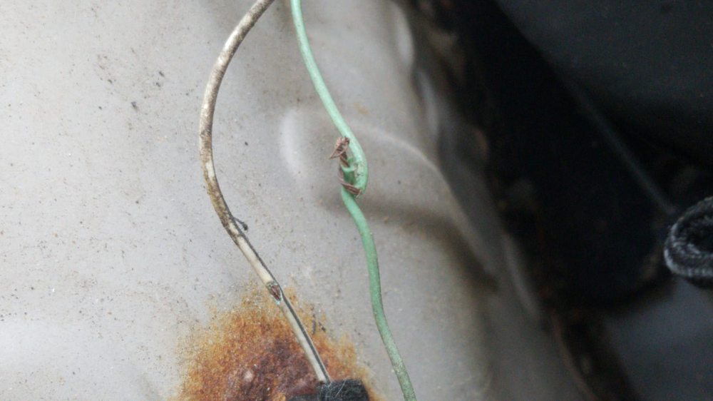 TRIDENT AUTOMOTIVE 20 Photos & 21 Reviews Car Dealers 2201