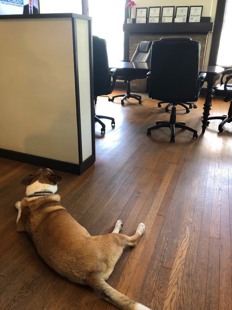 KINLEY PROPERTIES INC Updated August 2024 833 E Blvd, Charlotte