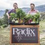 Photo of Radix Farm