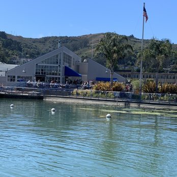 Fish - Restaurant - Seafood Near Me - Sausalito, California