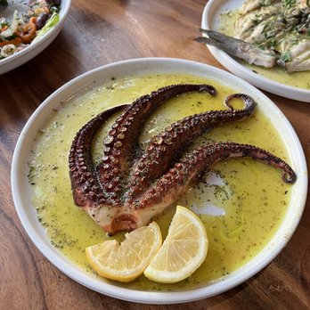 Andros Taverna - Mediterranean Octopus Entree - Greek Near Me - Chicago, Illinois Andros Taverna - Mediterranean Octopus Entree - Greek Near Me - Chicago, Illinois