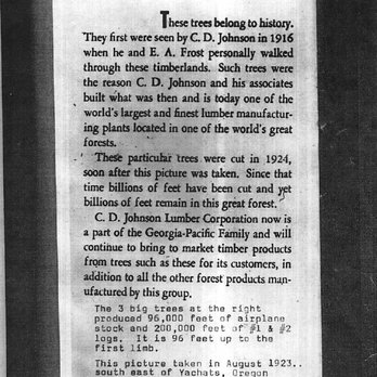 Stayton Builders Mart - an old newspaper article - Building Supplies Near Me - Stayton, Oregon Stayton Builders Mart - an old newspaper article - Building Supplies Near Me - Stayton, Oregon