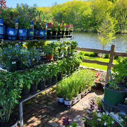 Riverside Nursery Garden Center & Florist