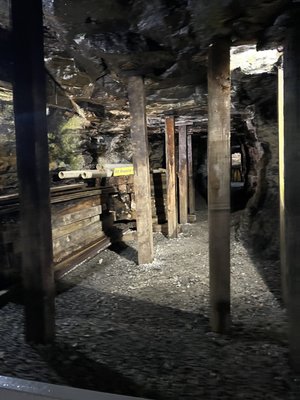 Beckley Exhibition Coal Mine by null