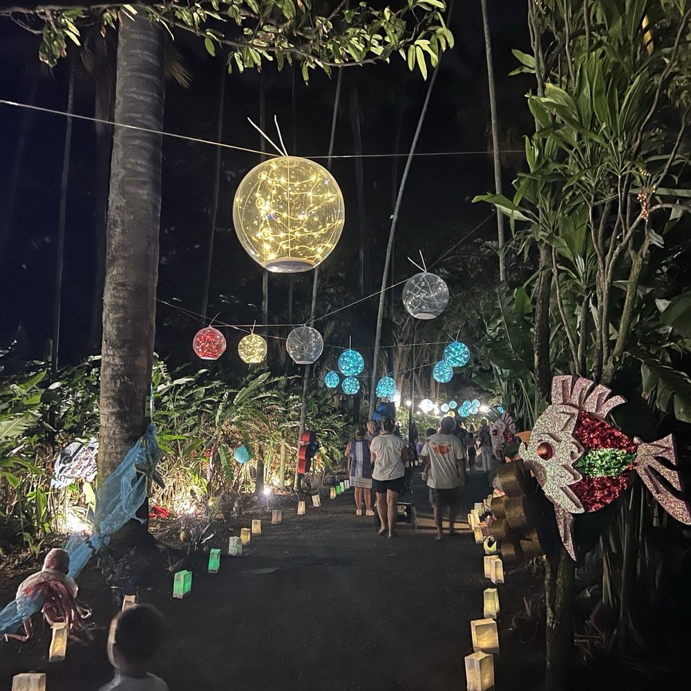 Best Things to Do near Experience Nutridge in Honolulu, HI