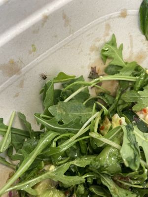 sweetgreen by null