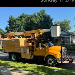 Pro Cuts Tree Care & Landscaping