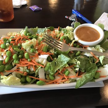 Picnikins Patio Cafe - Asian Salad with No Wontons - GF Asian Salad - New American Near Me - San Antonio, Texas Picnikins Patio Cafe - Asian Salad with No Wontons - GF Asian Salad - New American Near Me - San Antonio, Texas