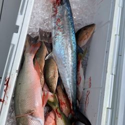 Everetts Adventure Charters