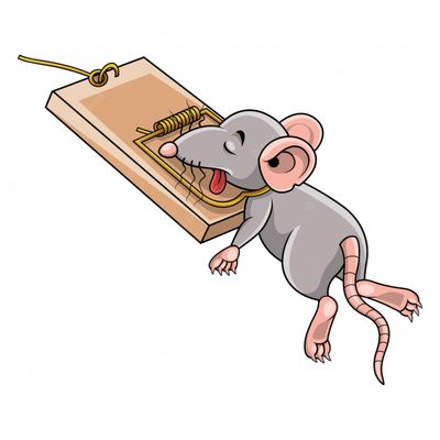 Rodent be gone!