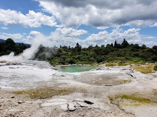 Te Puia - Rotorua, NZ by null