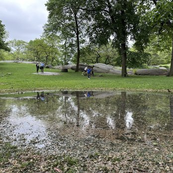 Central Park Conservancy - Parks Near Me - New York, New York
