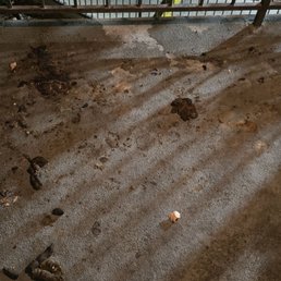 Neglected balcony due to ex and his dog.