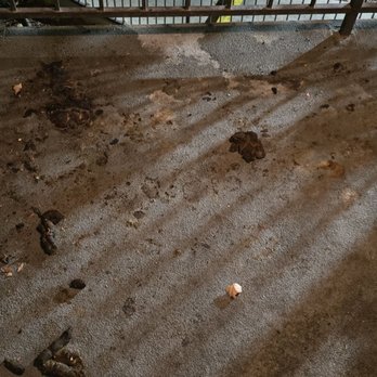Blue Diamond Pressure Wash - Neglected balcony due to ex and his dog. - Pressure Washers Near Me - Las Vegas, Nevada