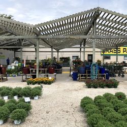 Grass Pad - Some of the Late Aug Nursery Items