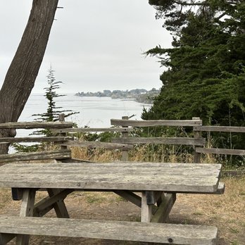 New Brighton Campground - Spacious picnic area. - Campgrounds Near Me - Aptos, California