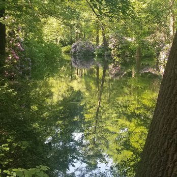 Tiergarten - Parks Near Me - Berlin, BE Tiergarten - Parks Near Me - Berlin, BE