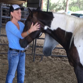 Travis P Trail Rides - Horseback Riding Near Me - Blanco, Texas Travis P Trail Rides - Horseback Riding Near Me - Blanco, Texas