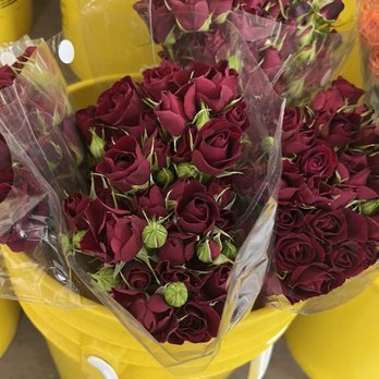 Carlstedt Oscar G - Mini roses - Florists Near Me - Tampa, Florida