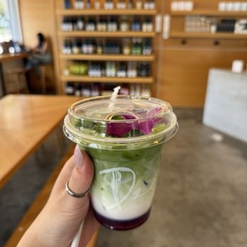 Deeply Cafe & Bottle Shop - Blueberry Matcha Latte - Coffee & Tea Near Me - Orlando, Florida Deeply Cafe & Bottle Shop - Blueberry Matcha Latte - Coffee & Tea Near Me - Orlando, Florida