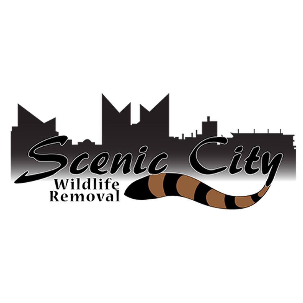SCENIC CITY WILDLIFE REMOVAL - Chattanooga, TN - Yelp