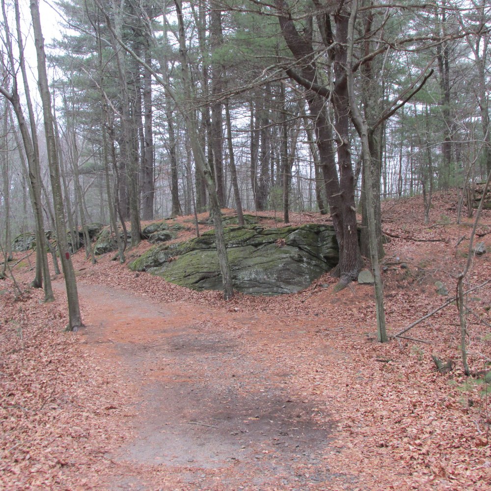 Steere Hill Trail - Gets very wet in the spring - Hiking Near Me - Glocester, Rhode Island