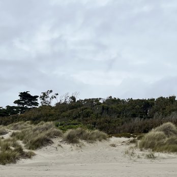 Sunset State Beach - Beaches Near Me - Watsonville, California