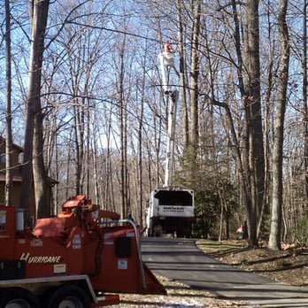 Arundel Tree Service - Dead Oak Removal, Crownsville Maryland - Tree Services Near Me - Pasadena, Maryland Arundel Tree Service - Dead Oak Removal, Crownsville Maryland - Tree Services Near Me - Pasadena, Maryland